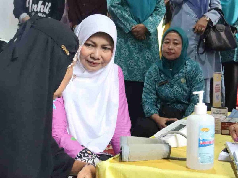 Ketua PKK Inhil Kunjungi Beberapa Posyandu di Tembilahan dan Tembilahan Hulu