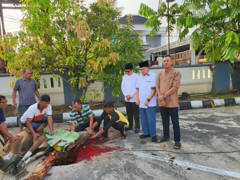 Semangat Berkurban dan Berbagi di Idul Adha 2025, IKKS Pekanbaru Sembelih 5 Ekor  Sapi