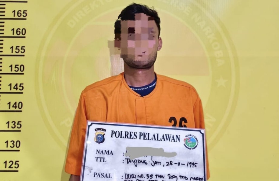 Polisi Gerebek Rumah di Pelalawan, Puluhan  Paket Ganja Siap Edar Diamankan