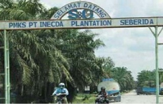 Sejumlah Karyawan PT Inecda Plantation Inhu Dikabarkan Terpapar Covid-19