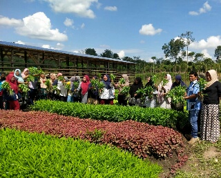 Tingkatkan Ketahanan Pangan Warga, Fedrios Motivasi Warga Tanam Sayur